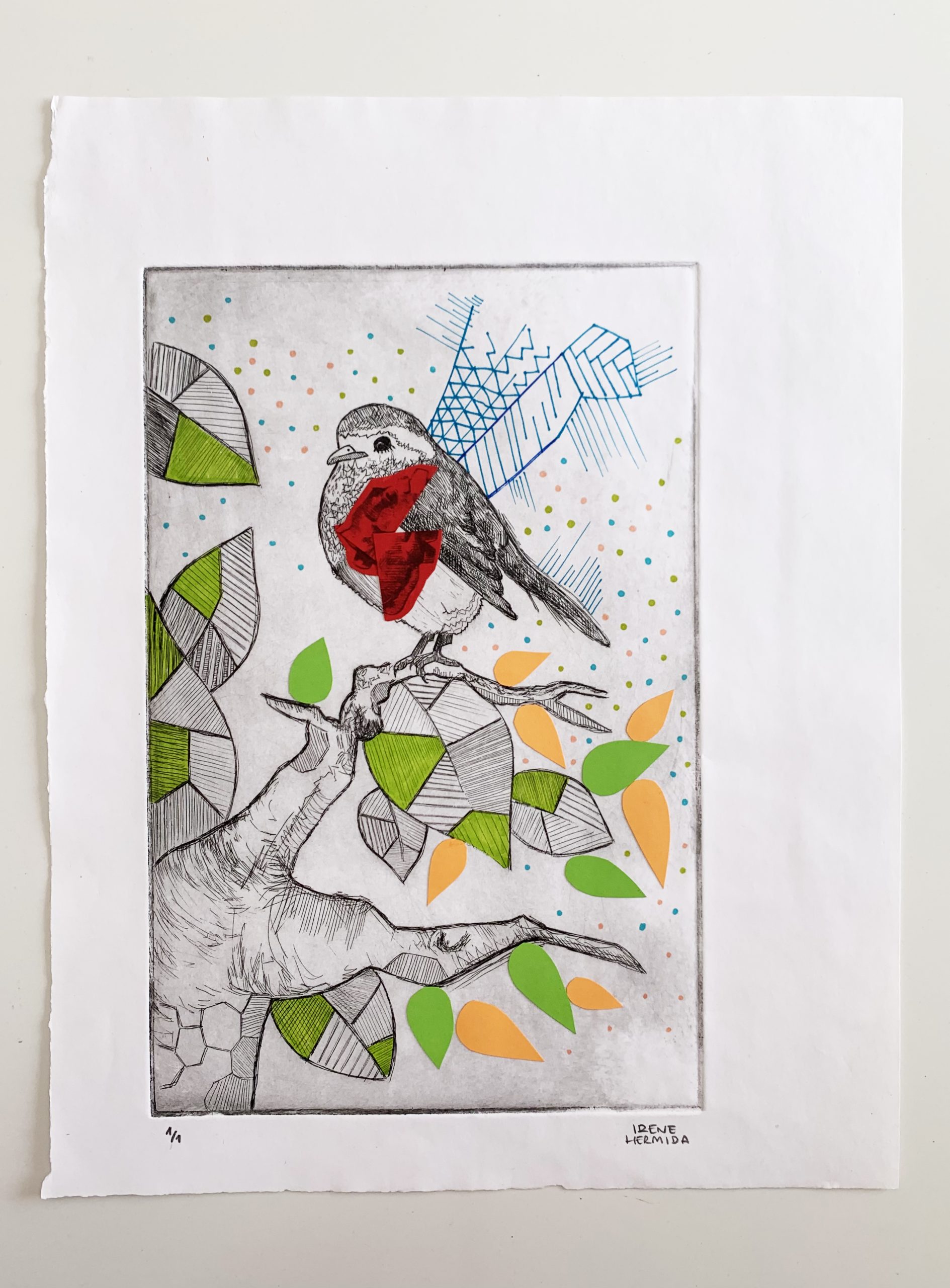 Pájaro corazón - Imagen 16